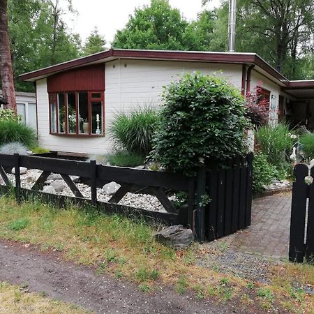 Sfeervol, Ruim En Luxe Chalet In Bosrijke Omgeving Villa Diessen Exterior foto