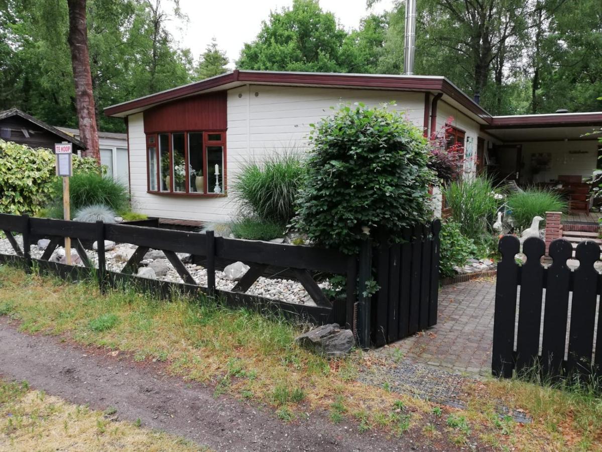 Sfeervol, Ruim En Luxe Chalet In Bosrijke Omgeving Villa Diessen Exterior foto